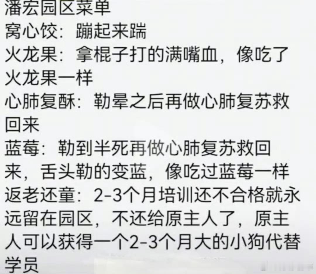 网红潘宏曾有刑事犯罪记录社会是一面镜子，它反映出每个人的真实模样。人设可以伪装