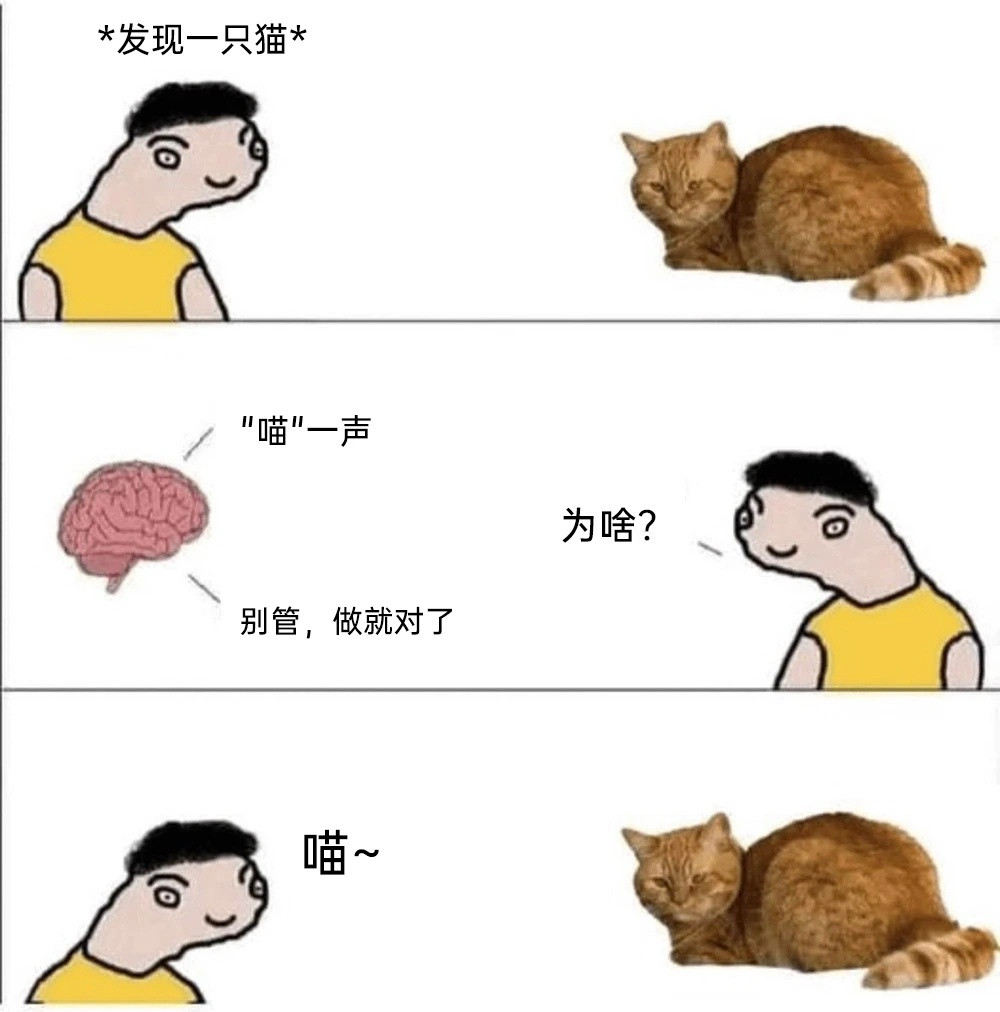 周一需要一些猫meme梗图续命