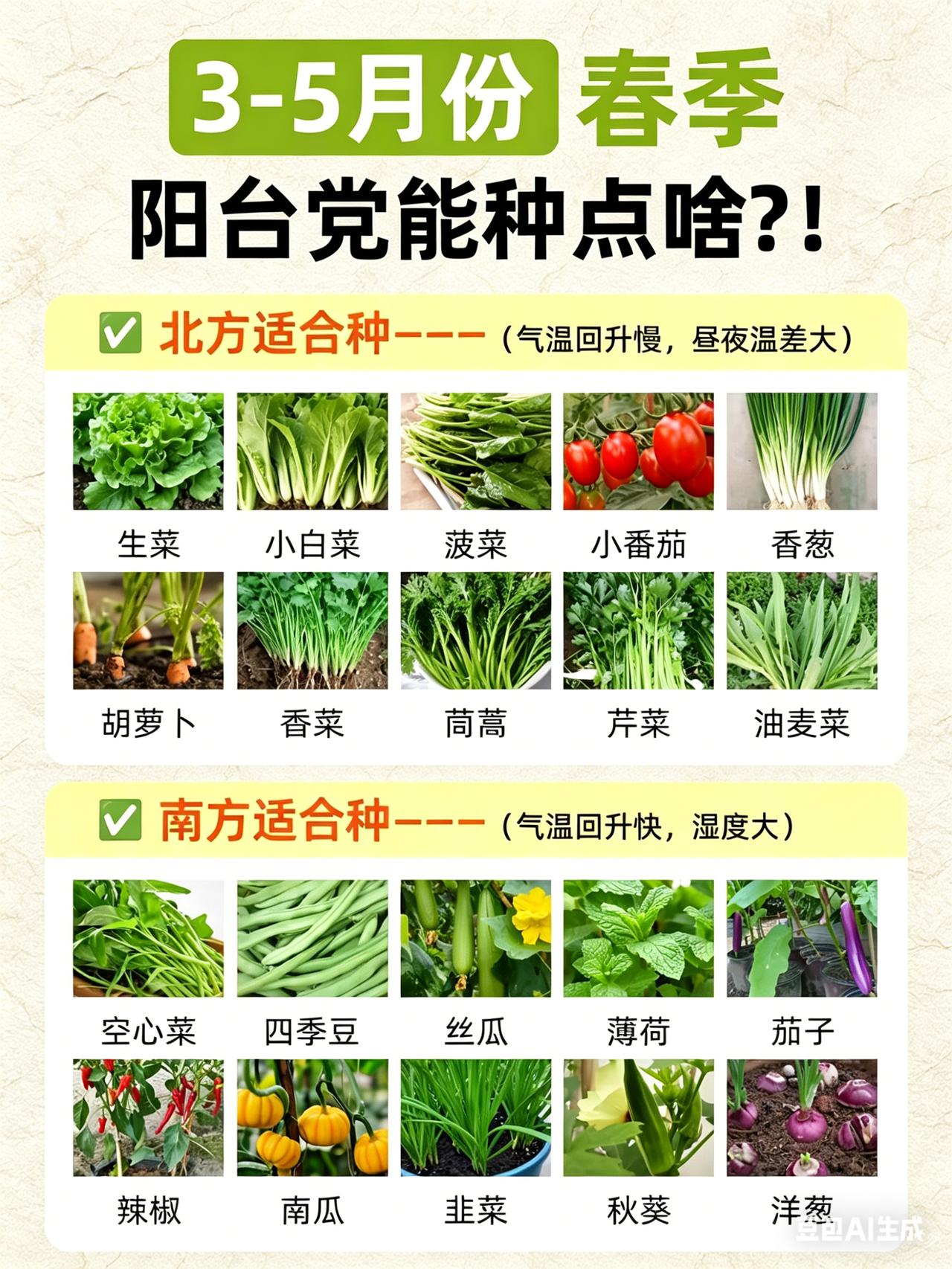 阳台巴掌大，能种什么菜？这7种好养又好吃！你是不是也羡慕别人家阳台绿油油，自己