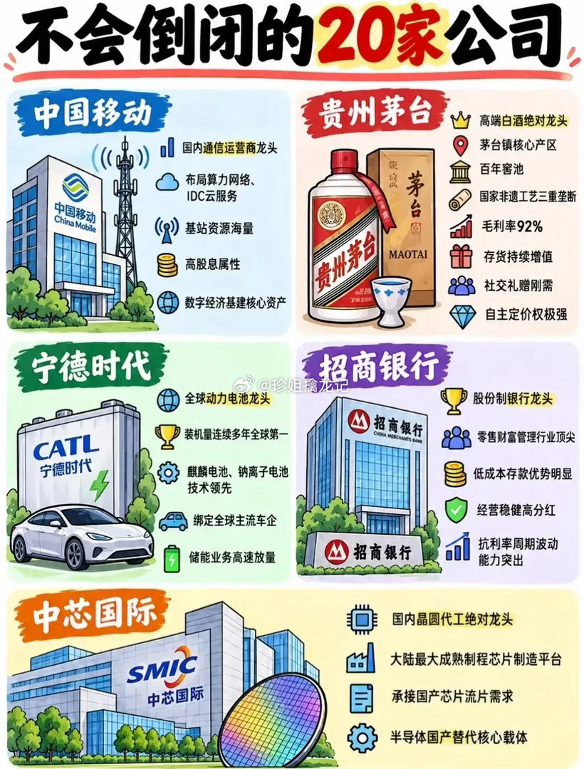 #英伟达市值升至5.76万亿美元#未来30年，这20家中国公司最“稳”？🤔刷到一组图，列出了被网友
