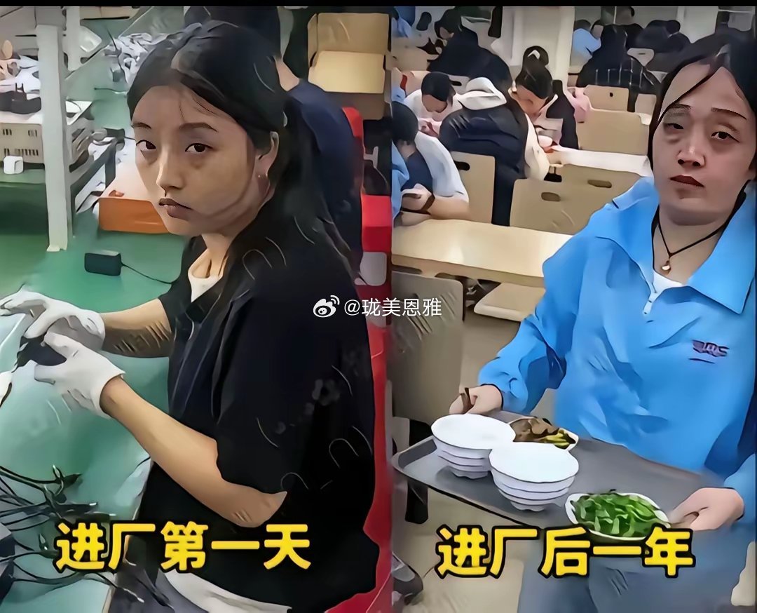 这班上的，劳力更劳心