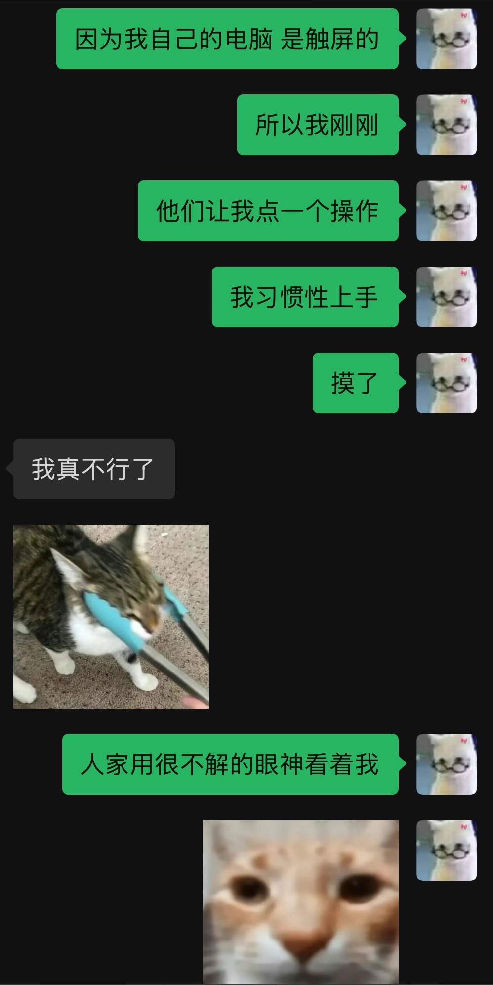 我也不明白自己究竟是怎么了。