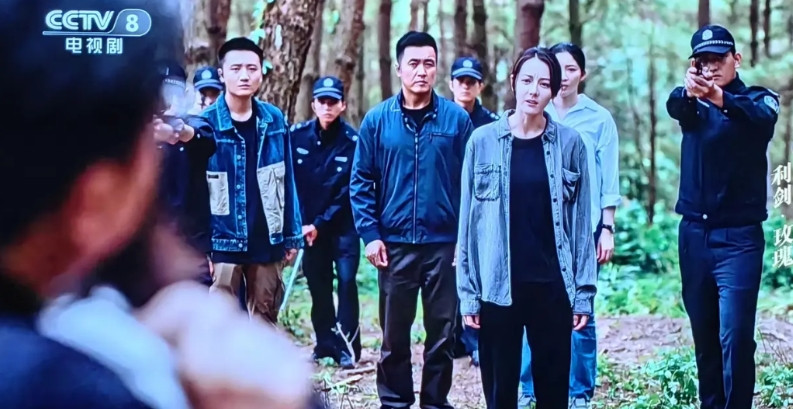 央视八频道播放的电视剧《利剑·玫瑰》昨晚大结局，最大的犯罪分子瘸哥被抓，林然也终