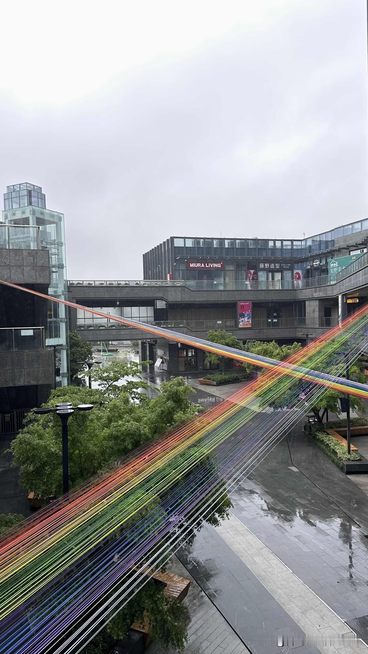 台北人在苏州，下雨天，一个人的晚餐。茄汁大虾、干煎罗非鱼、清炒菠菜，成本只要三十