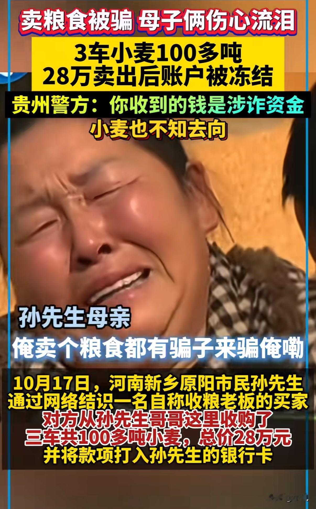 “欲哭无泪”!河南一对母子,辛辛苦苦收了100多吨小麦,被人用28万买走了。结果