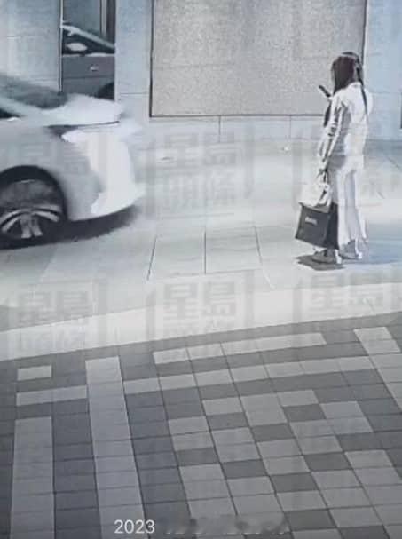 #蔡天凤案丈夫回忆失联诡异细节##蔡天凤失踪前留言称邝港杰十分狡猾#蔡天凤碎尸案，今日（14日）在香