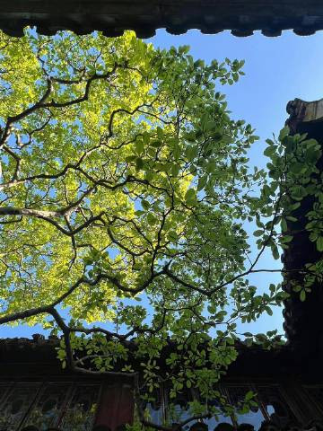 生活总是这样，不能叫人处处都满意。但我们还要热情地活下去。人活一生，值得爱的东西