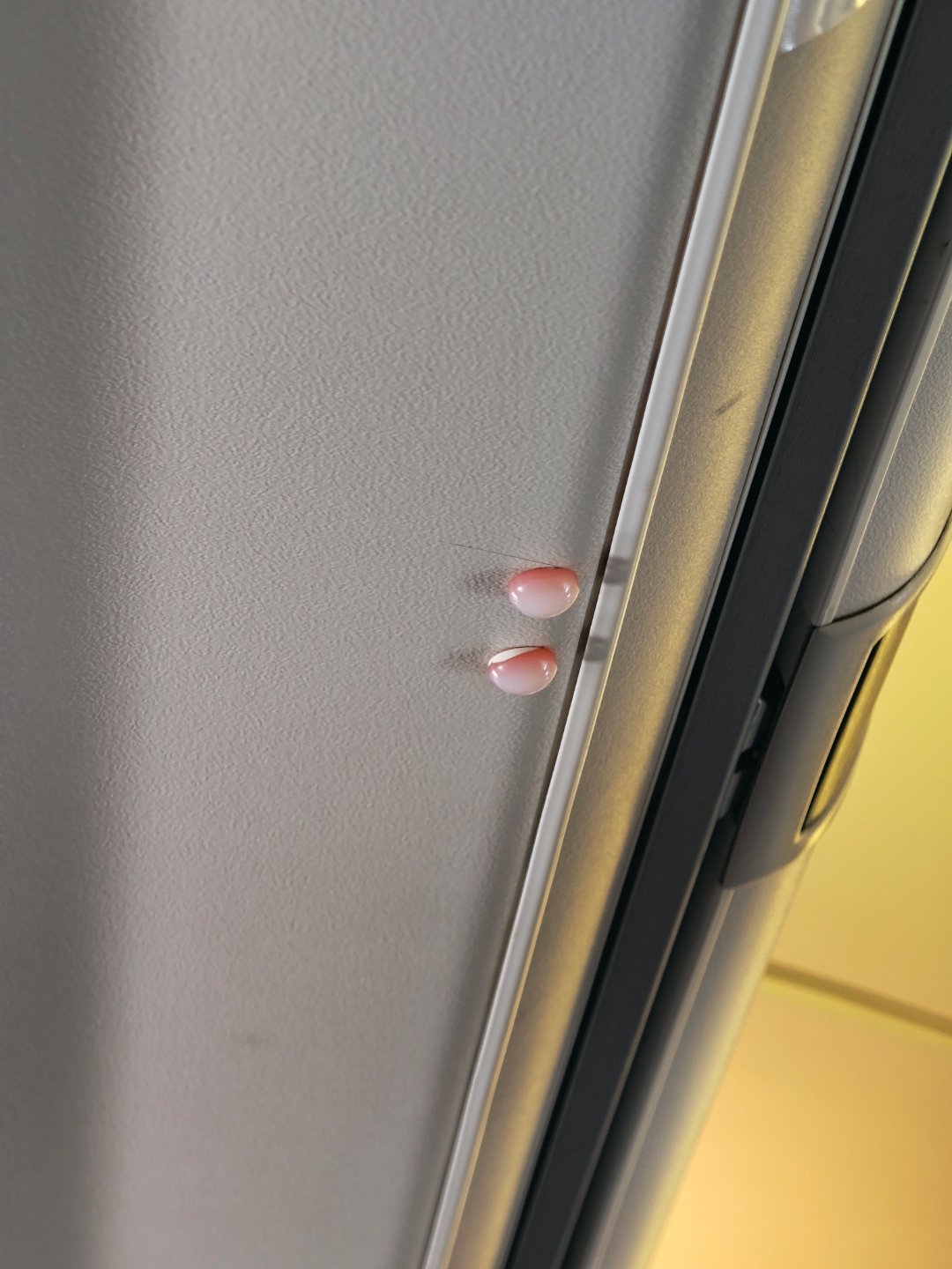 谁能告诉我飞机上这两个粉粉的小包包是什么？