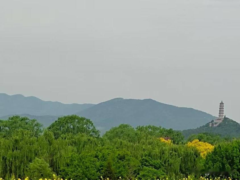 你知道，婆媳相处怎样才能既舒服又长久吗？婆媳之间，无本分，全靠情分。婆媳本就是