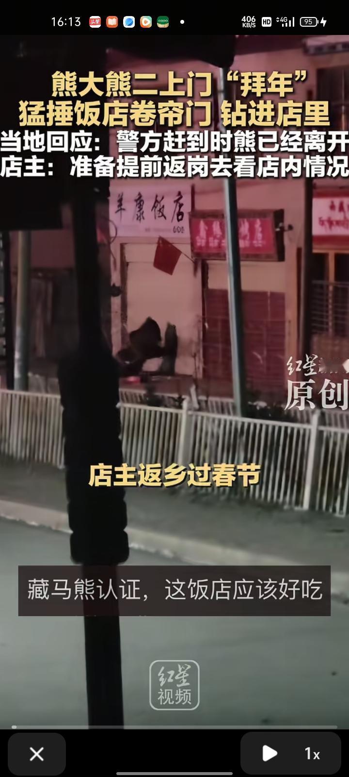 2月17日，那曲市比如县。一只藏马熊在饭店门前狂锤卷帘门，周围狗叫声不断，卷帘门