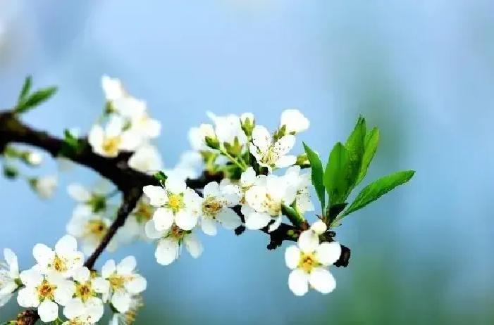 很多人以为人生苦一辈子就完了，其实恰恰相反，前半生越难熬，后半生越容易翻身。特别