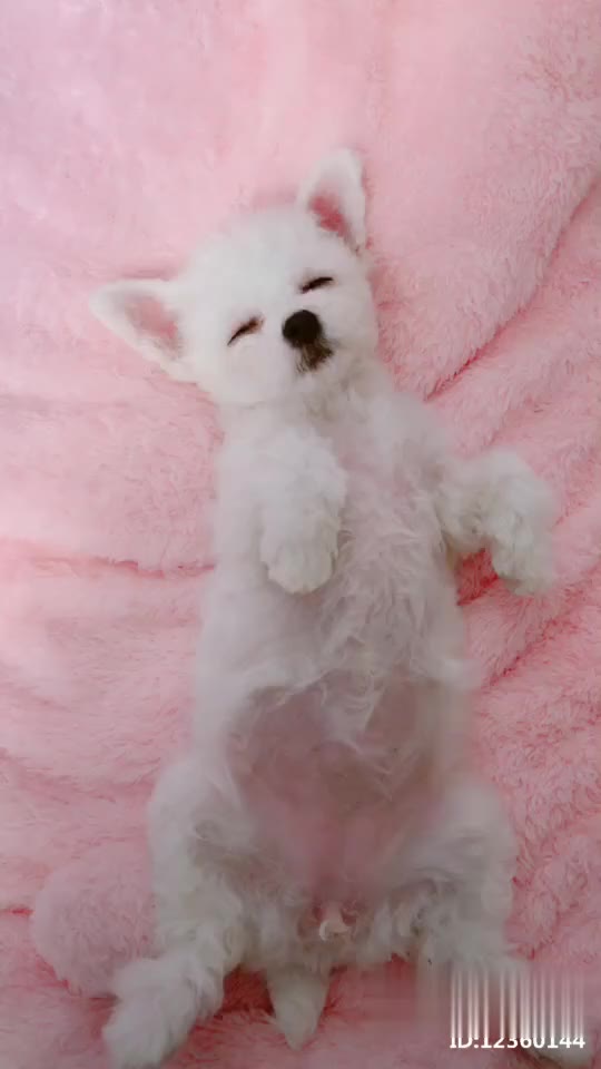 4193148242555514103.jpg?id=0