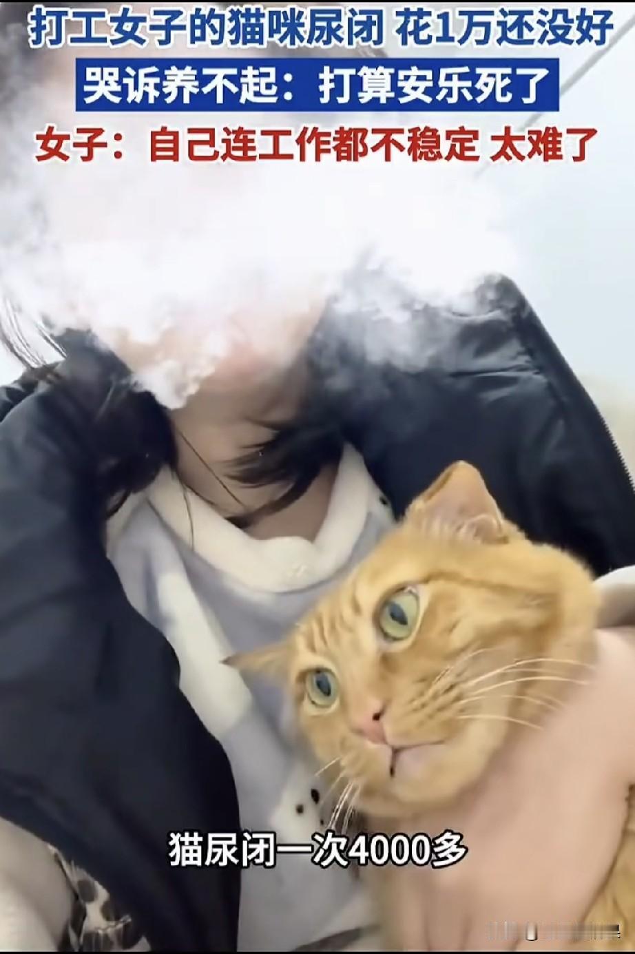 这位女子真的好伟大啊，小猫咪生个病花了一万，自己都快吃不起饭了，又没有正式工作，