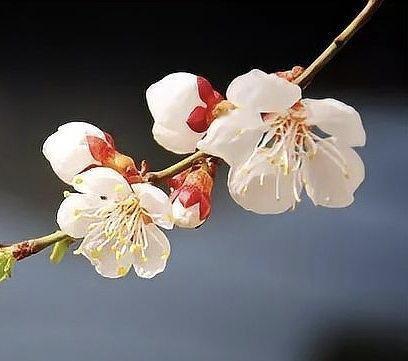 玄学语境下，灵气之人的气场密码从玄学视角来看，有灵气者的气场并非虚无缥缈