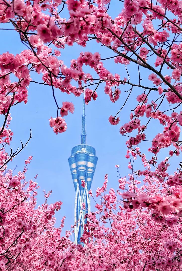 郑州最美生活打卡窗口，错过就要等到明年了。近日，画满绿城，到处是绿意盎然的景象