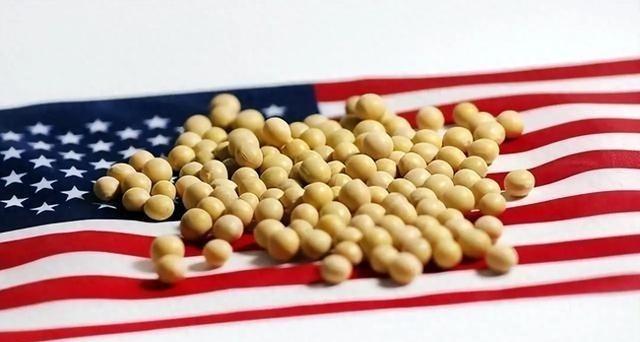 美国大豆为什么非要卖给中国?其实,站在美国的角度,三年不卖给中国大豆,扩大国内内