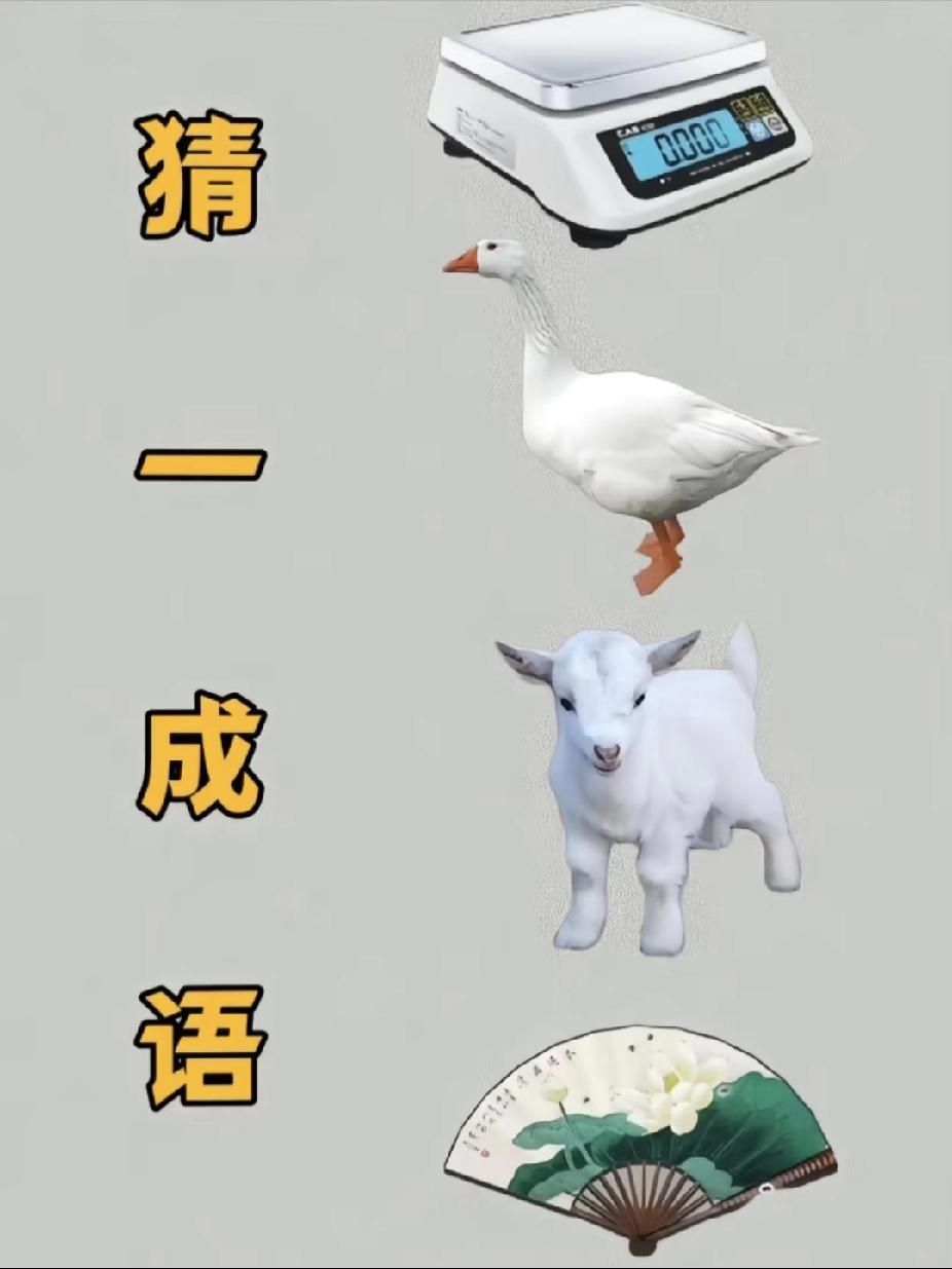电子秤+鹅+羊+扇子，猜个成语！