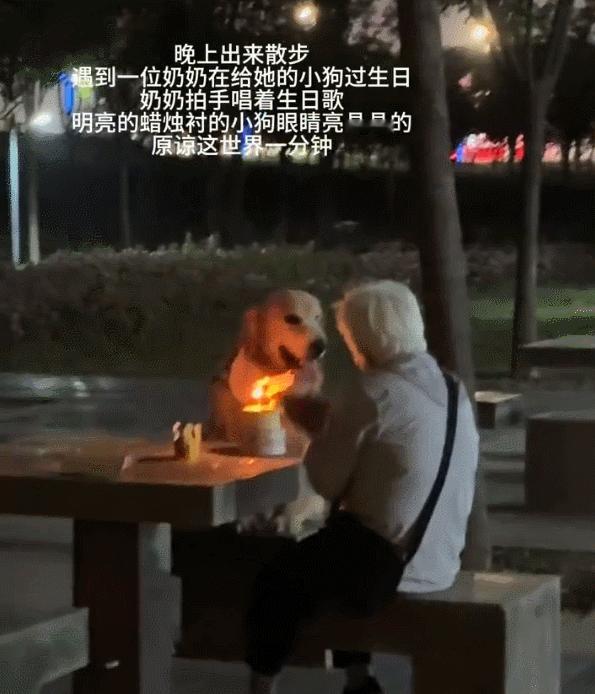 狗：日子怎么可能跟谁过都一样​​​