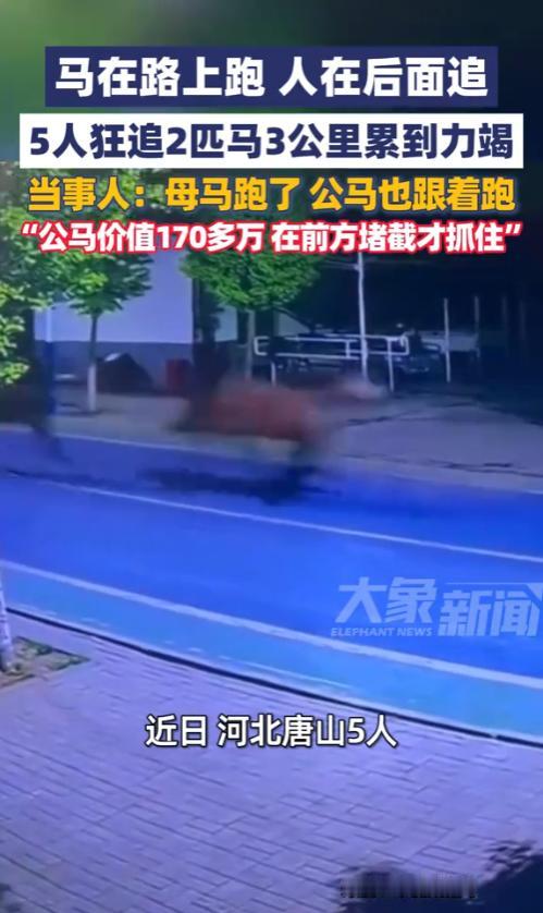 “惊掉下巴！”5月6号晚上，河北唐山街头突发罕见名场面，网友实拍视频刷爆全网，路
