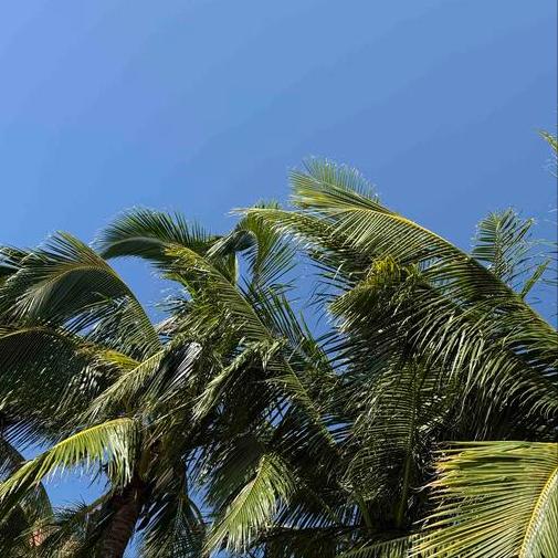 这条信息  是关于大连中山区原官员的 今天，一条关于该市中山区原官员的信息