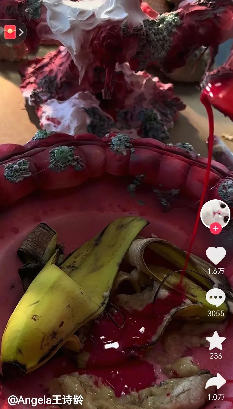大晚上，王诗龄一个视频把我干懵了视频配文“大餐”盘子里是香蕉皮和一些坏的香蕉