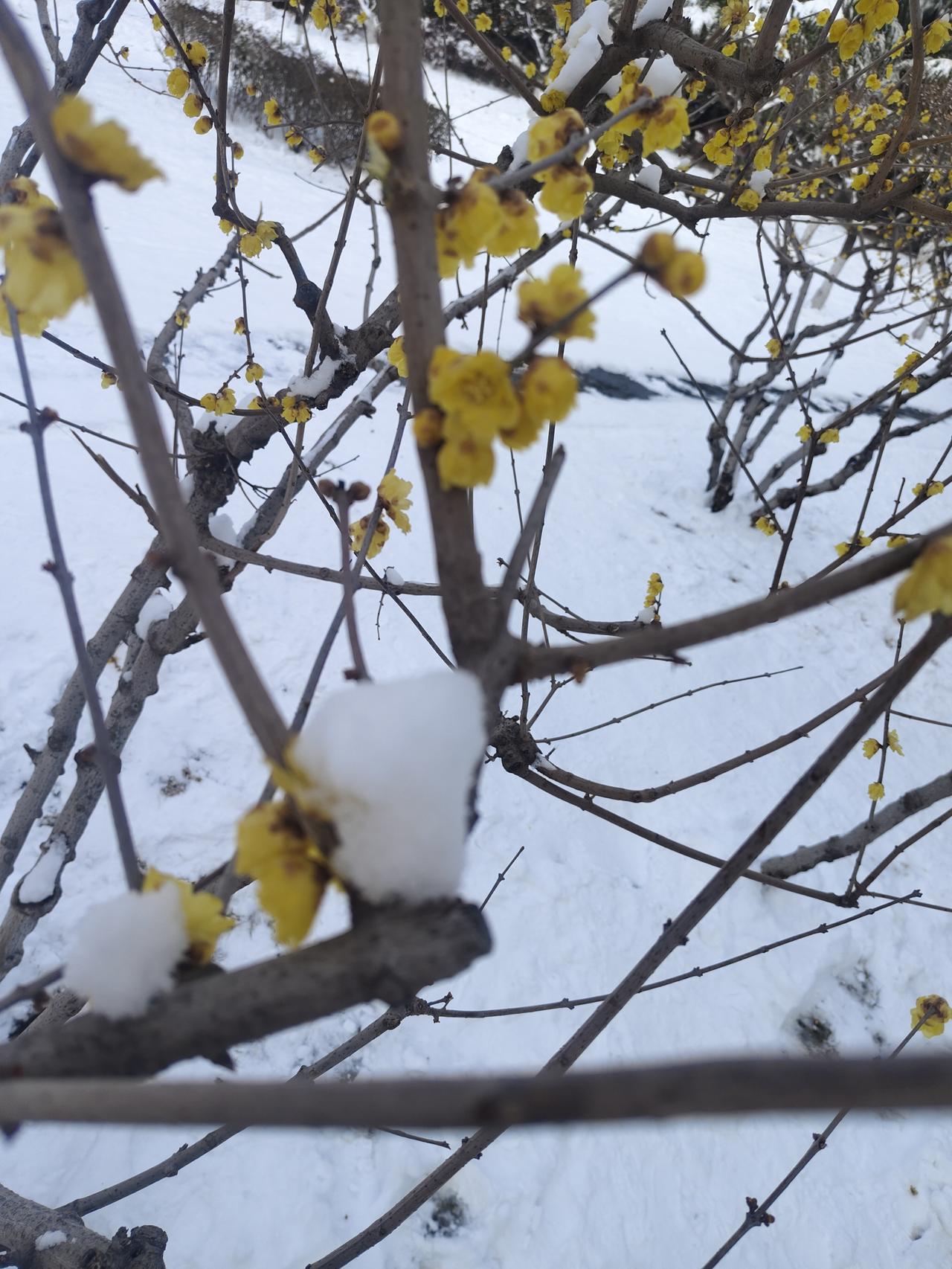 这顿该不该我请？前两年，上海一个同事来焦作出差，临走的时候，要到郑州来坐飞机