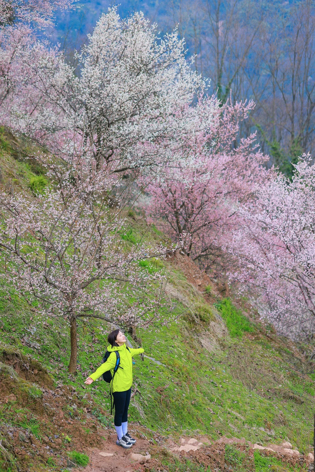 成都1h 🌸徒步就该去人少小众的花海路线！