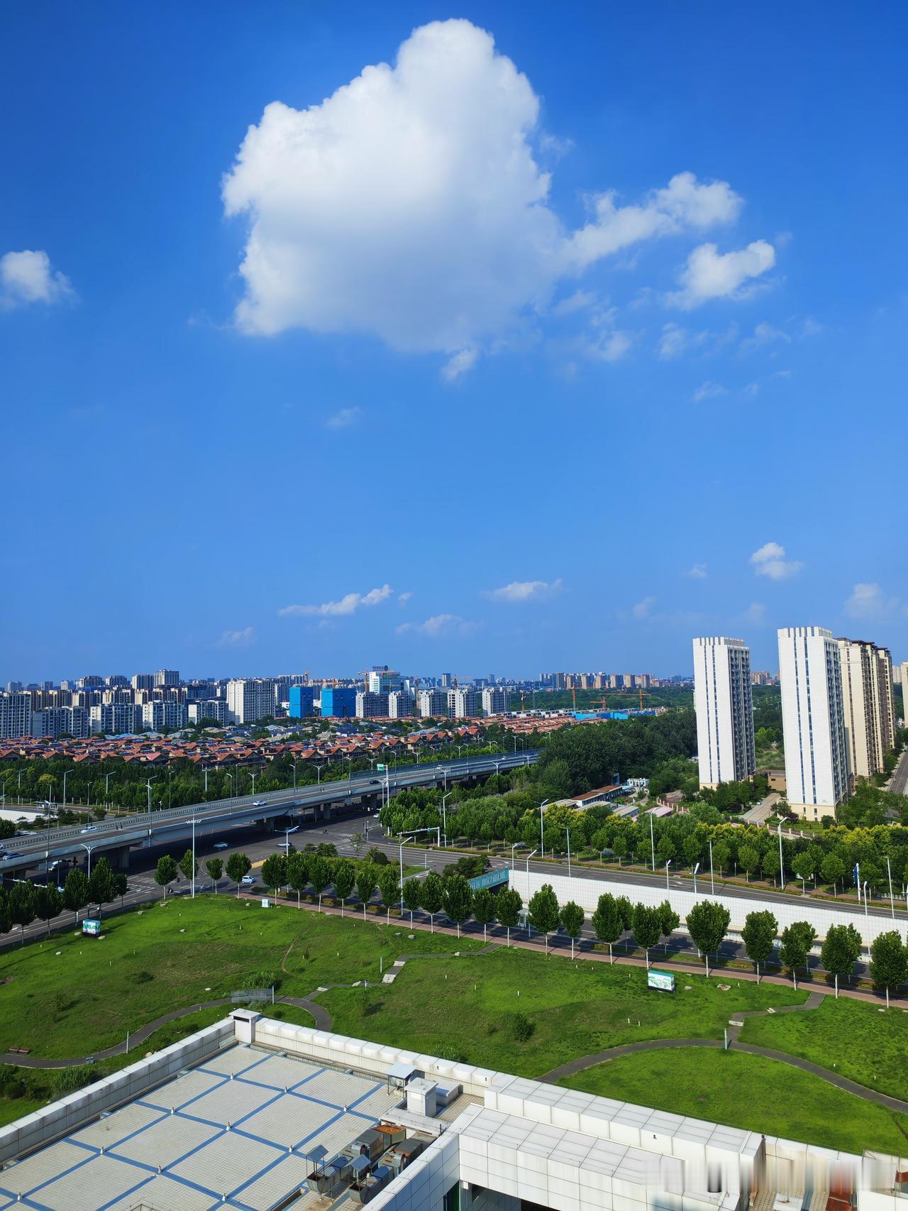 三个大夫都跟我谈话了。说动态心电图显示，我爸的心脏出现四秒停跳。这种情况
