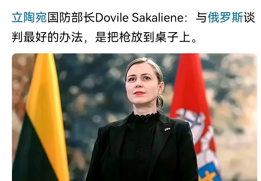 驳斥立陶宛女防长奇葩言论你们敢信吗？一个巴掌大的小国，它