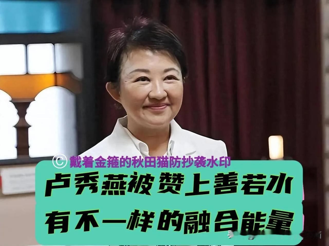 卢秀燕被赞上善若水。陈学圣：看到卢身上不一样的融合能量，如能把岛内二十几位县市