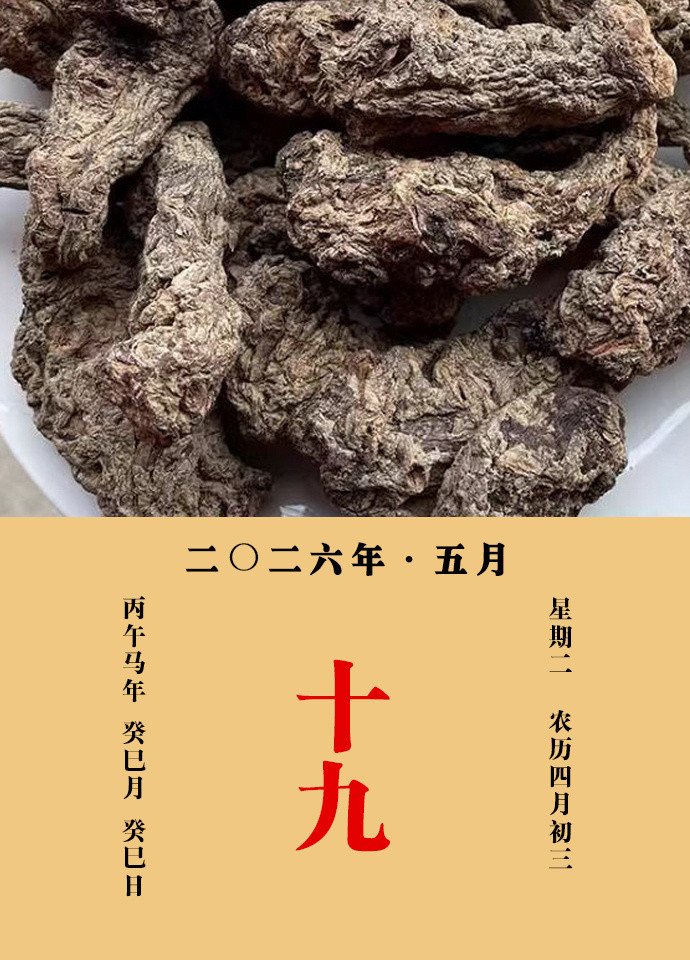 每天一味中草药孟诜说：干地黄，微寒，以少蜜煎，或浸食之，或煎汤，或入酒饮，并妙