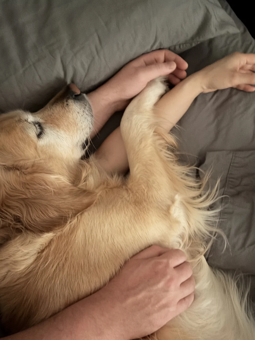 Morningcuddles