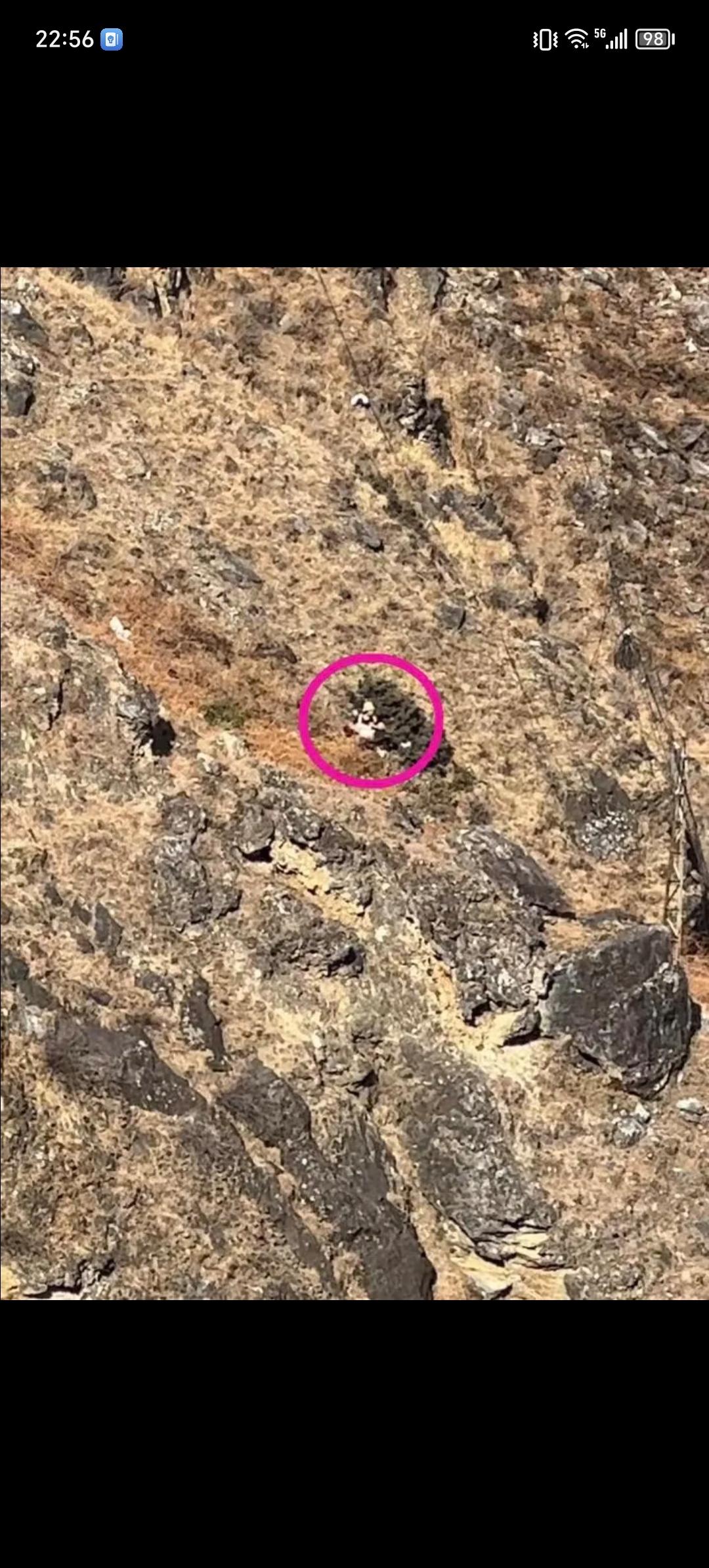 好痛心！一爸爸带8岁的孩子到云南迪庆州香格里拉市虎跳峡徒步，选择了无护栏的未开发