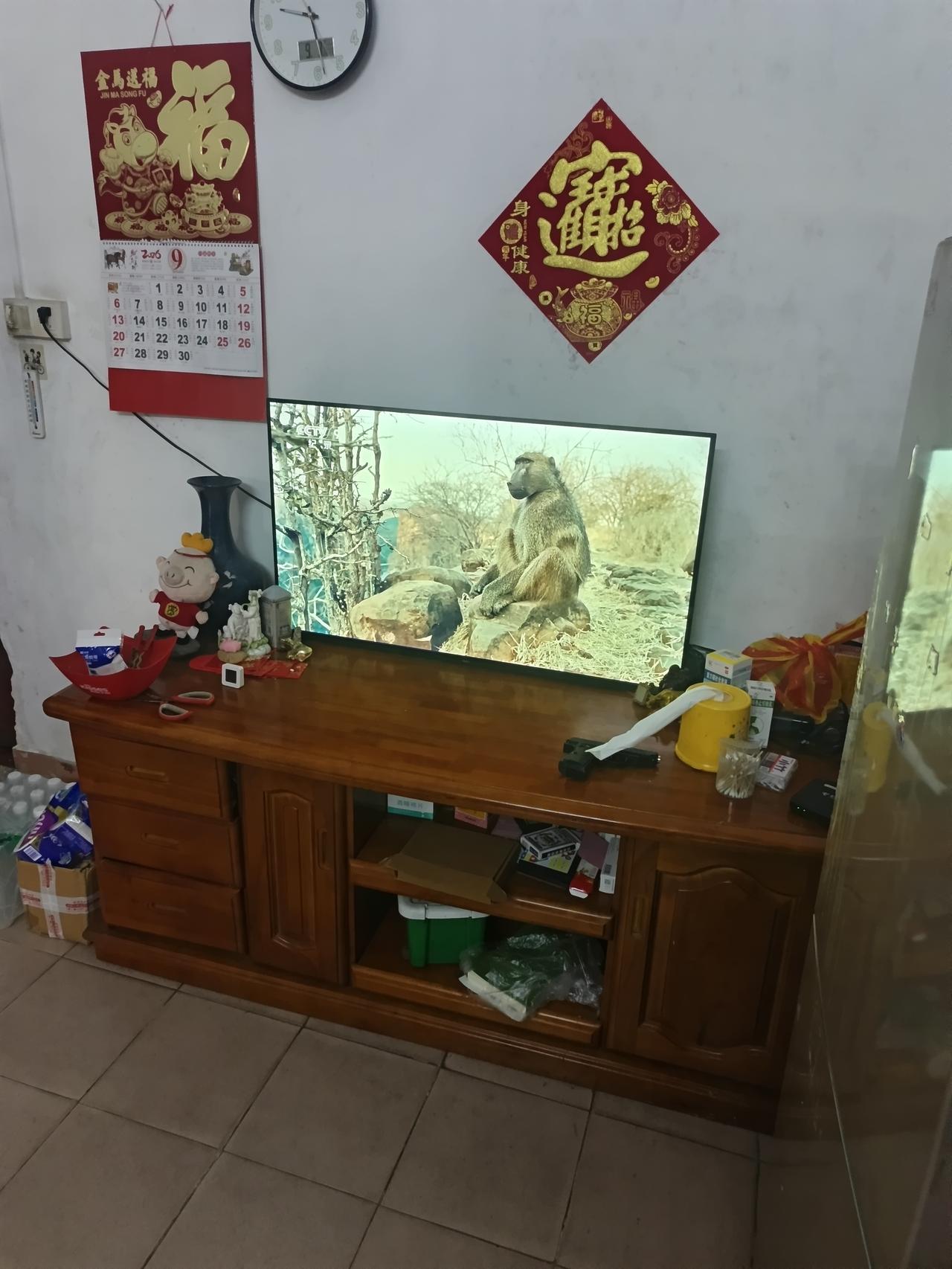 我终于知道了为什么。这么多人误会了这只动物却依然不知道他叫什么名字你