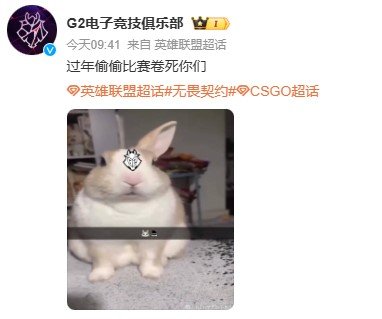 兔宝还是太宠Bin哥了！这边Bin拍视频立旗要“偷偷减肥卷死你们”，那边整活之王