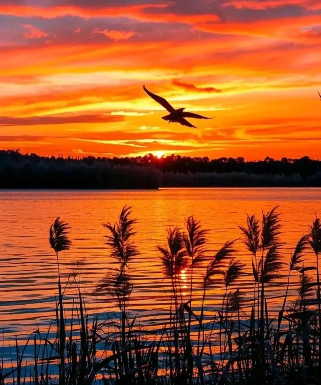 我昨天去菜市场买番茄，摊主是个戴草帽的大叔。他称完说三块八，我递过去十块。他