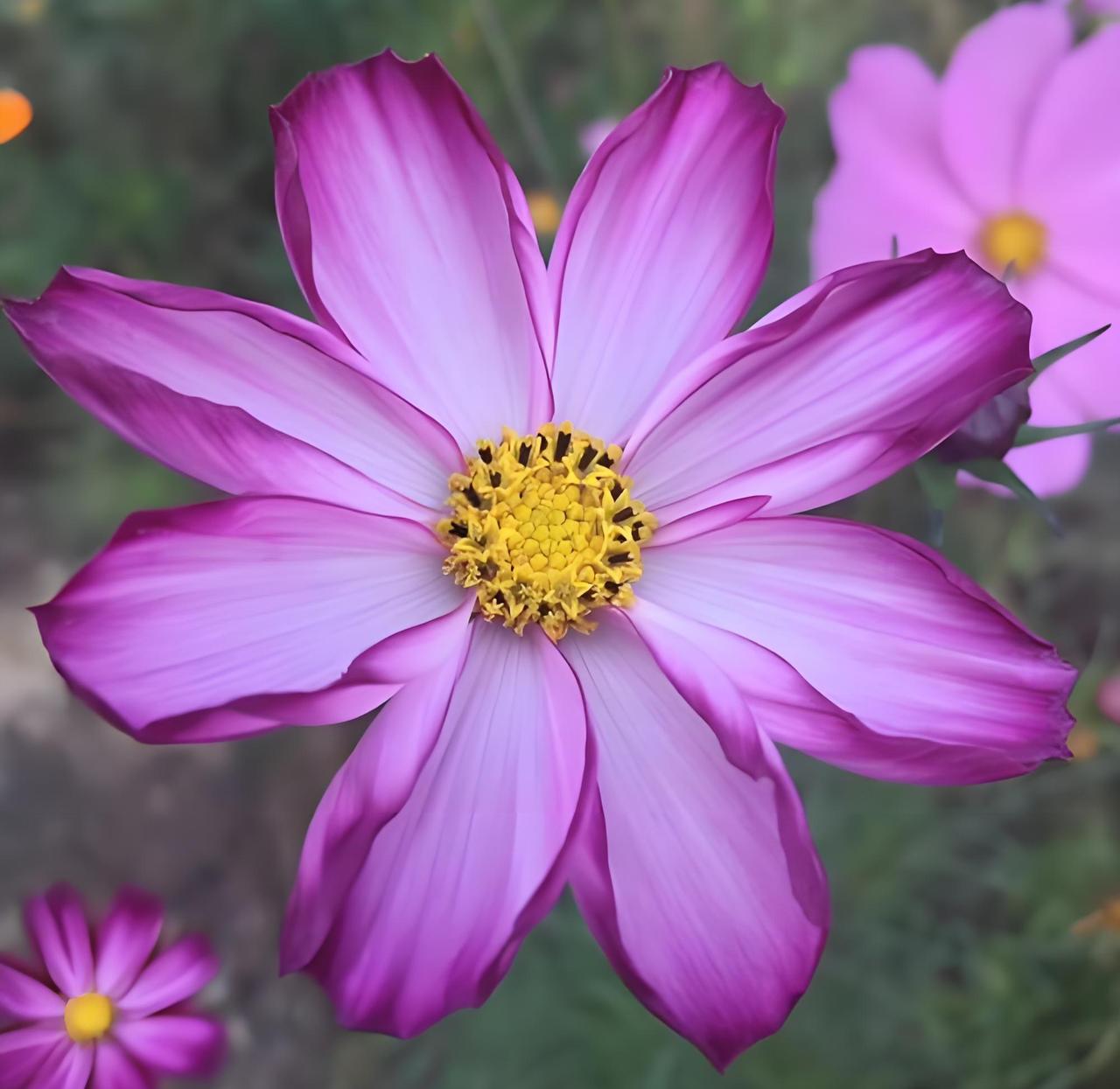 找到一个最轻松的活法，就是人生真正意义上的开始。人生短短几十年，确实不应该