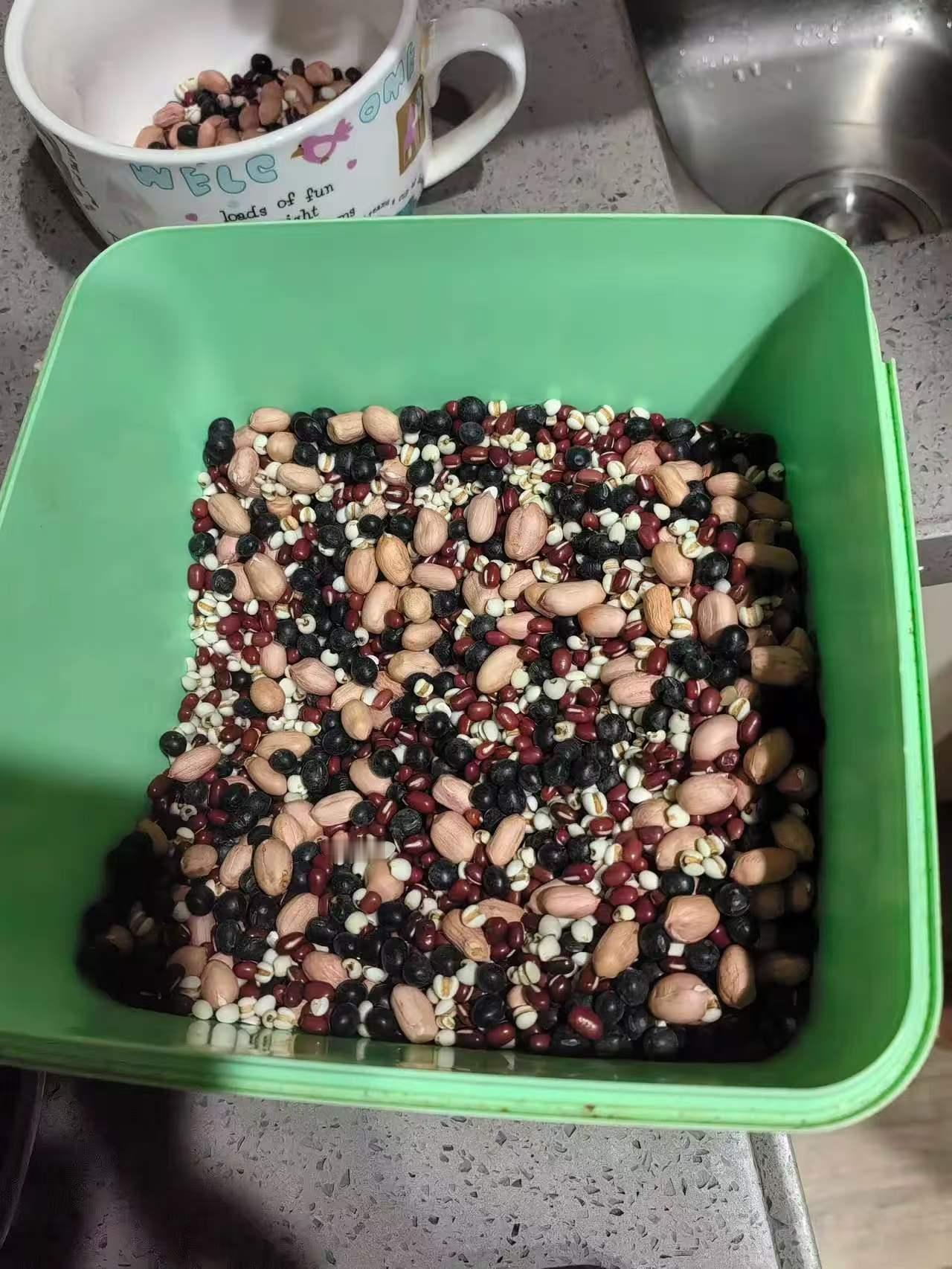 分享下：黑木耳+豆类打浆，我的日常养生小搭配。最近一直这么喝，身体感觉很舒