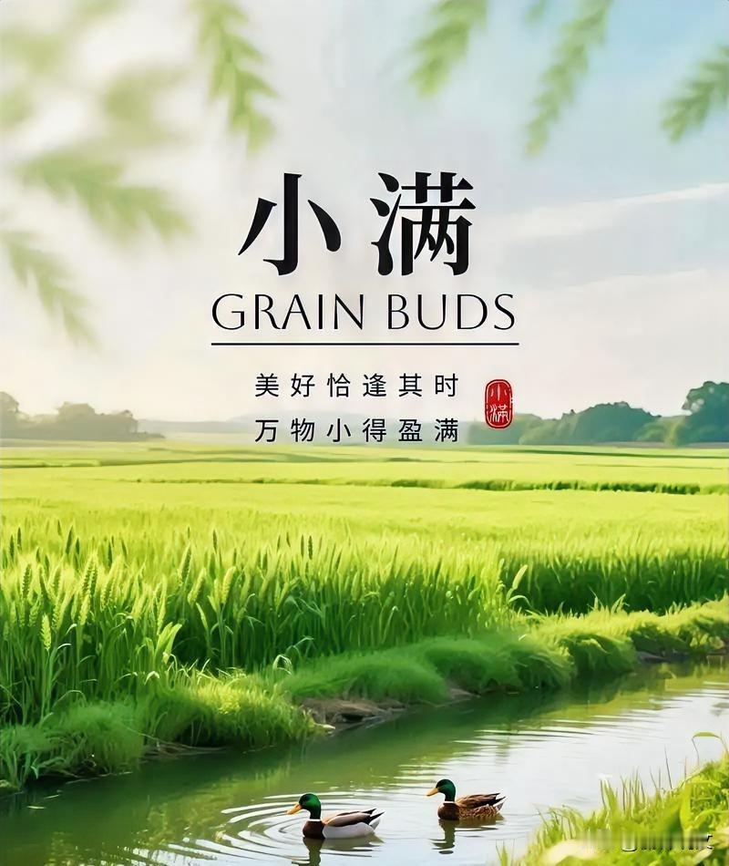 5月21日小满！今年小满不一般，3个特点关系收成，种地的早留心今年