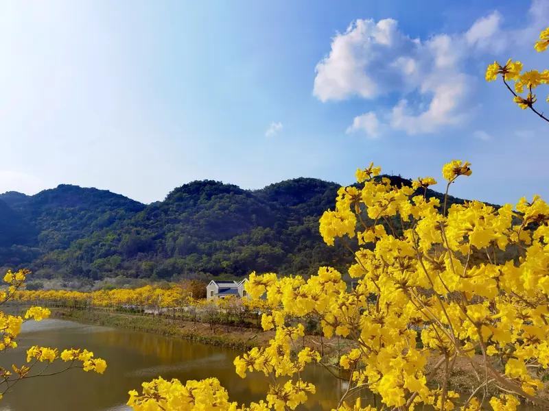 看到上联“冬去山明水秀”，瞬间就感受到了一种冬尽春至、山河焕新的美。我觉得“春归