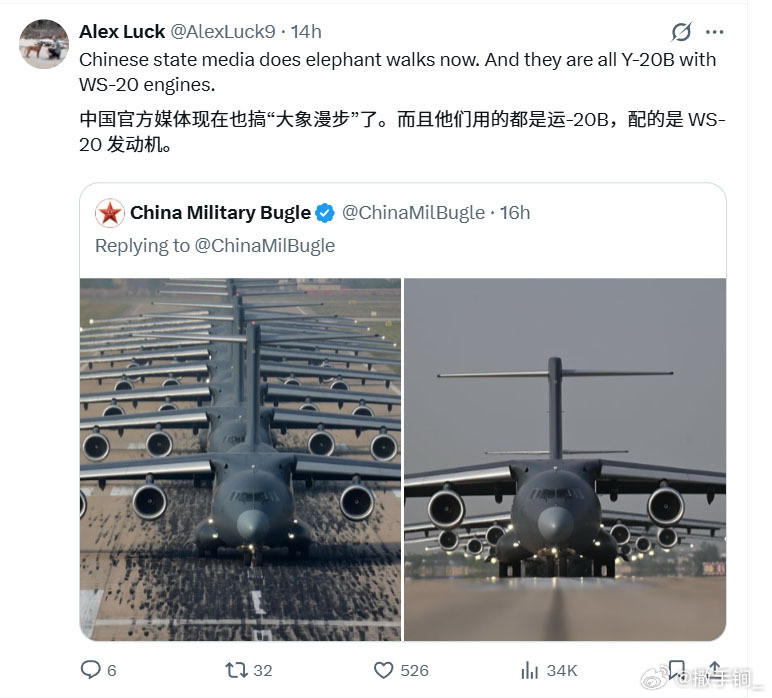 运-20B大象漫步