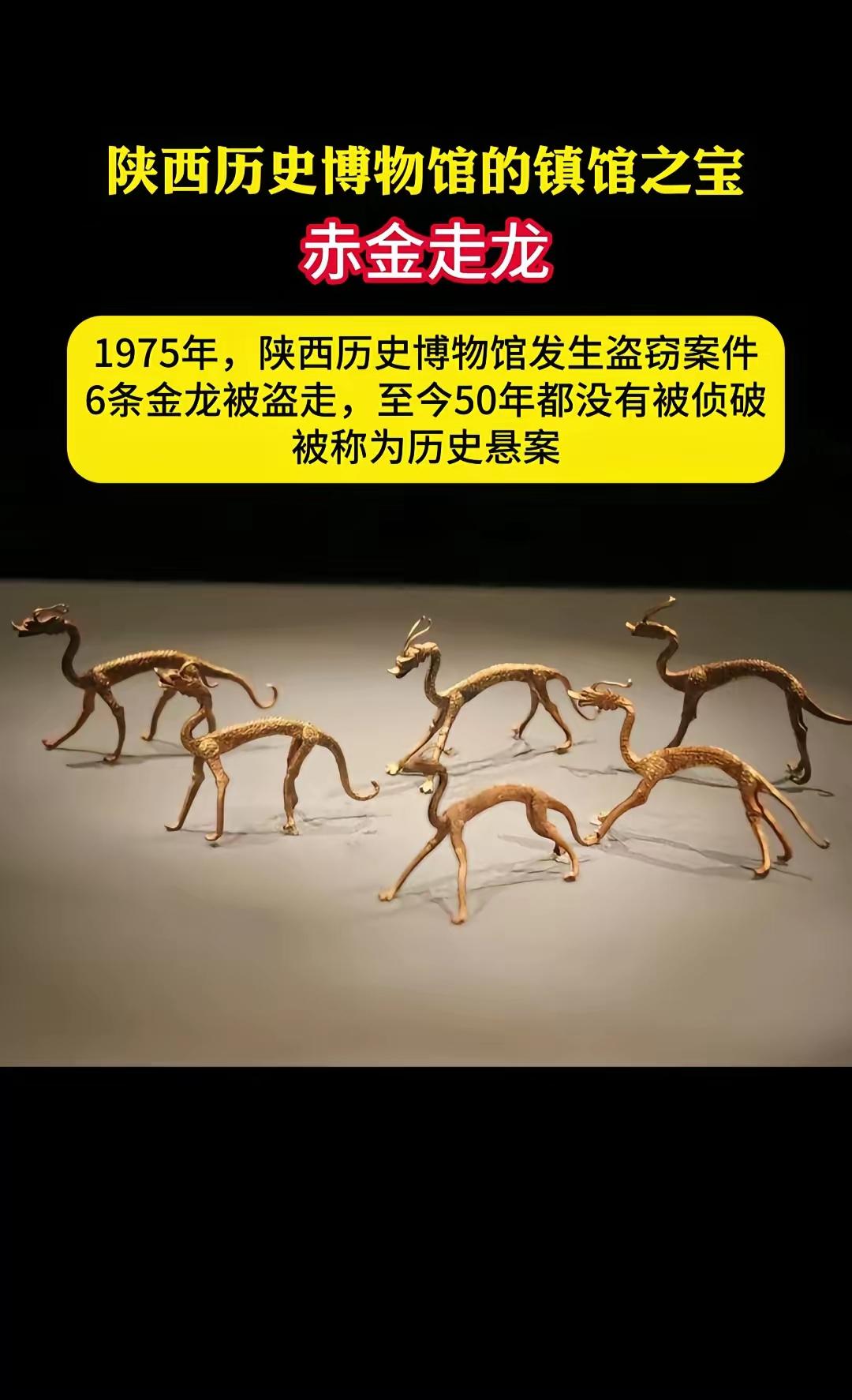 历史悬案，不知何时能破案？6条金龙尚在人间否？