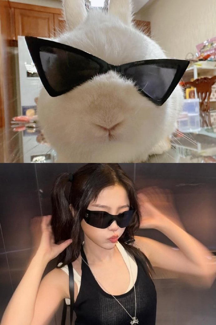 虞书欣认证兔塑虞书欣兔塑你就崛起吧！欣欣子本人认证的兔塑更权威！