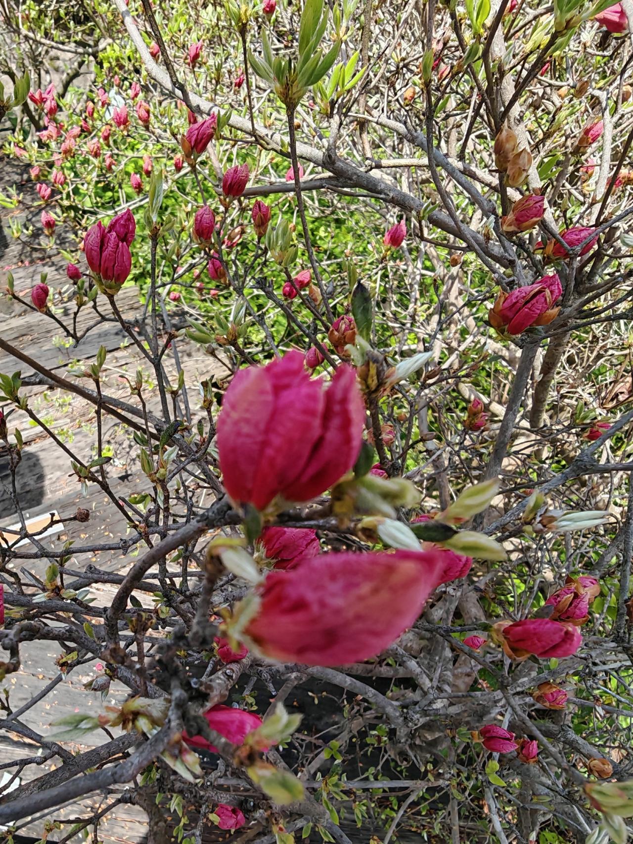 我的表哥曾是班里的第一名，毕业后先入职诺基亚历练两年，随后加入微软，一晃已是十年