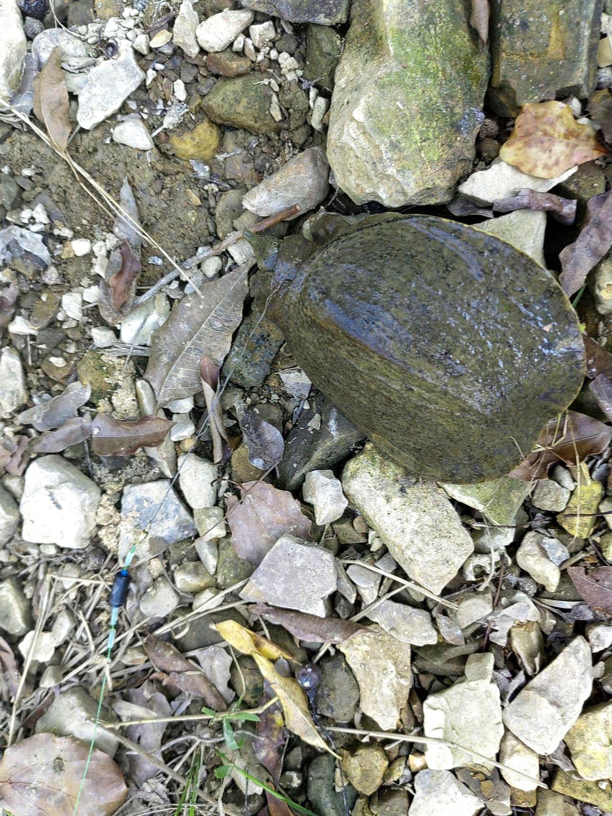 这在钓鱼界，算空军吗？在野河里，守了一下午，一条鱼没钓到，准备要回去了，拉上了