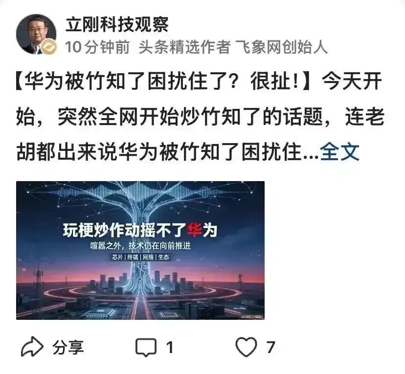小小“竹知了”无法撼动华为！华为的贡献有目共睹！华为之前没有一家企业硬钢美国