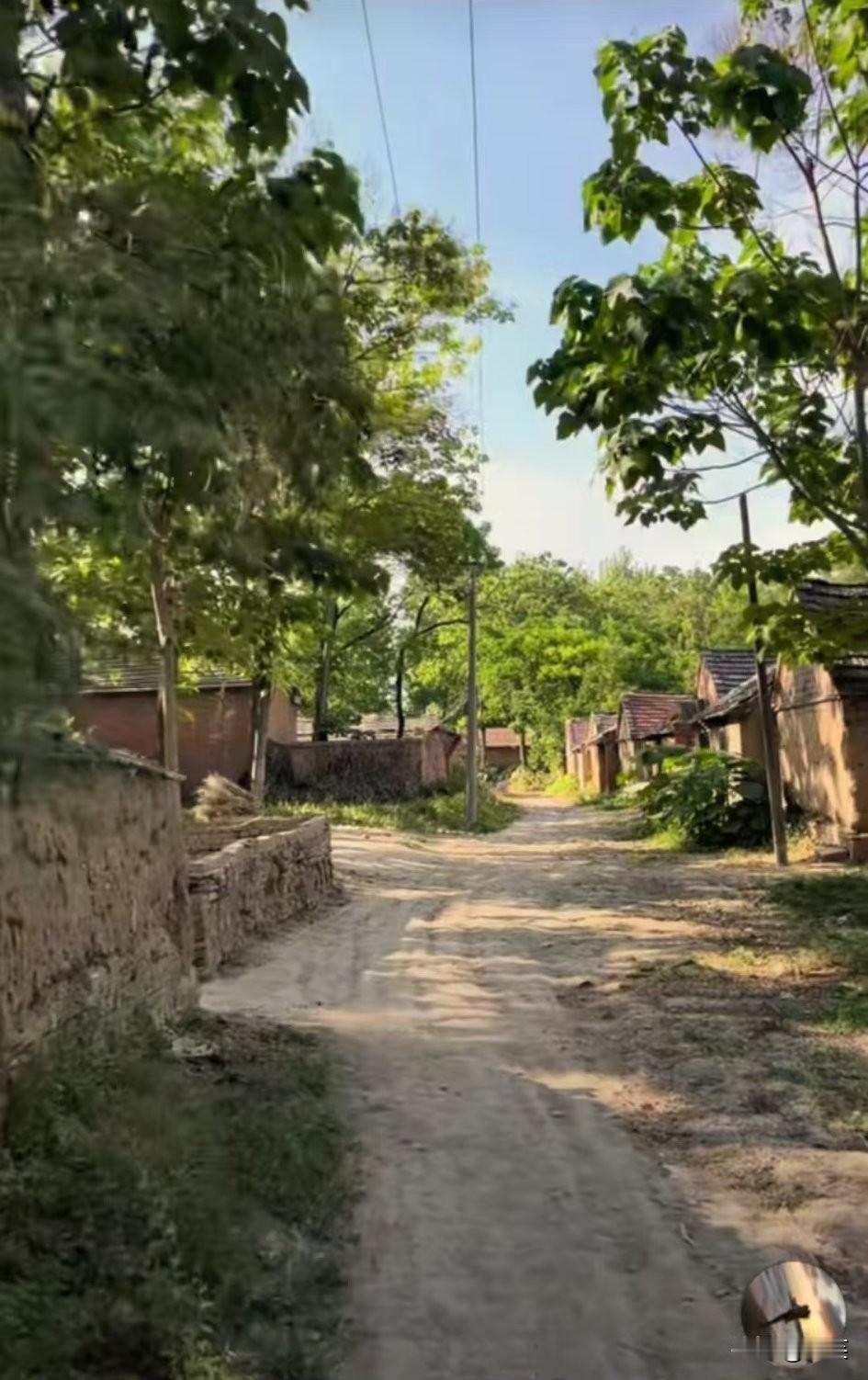 一位养老院的护工说:“谁也不要生儿育女,都是最蠢的行为。耗尽一生得到的只是你给