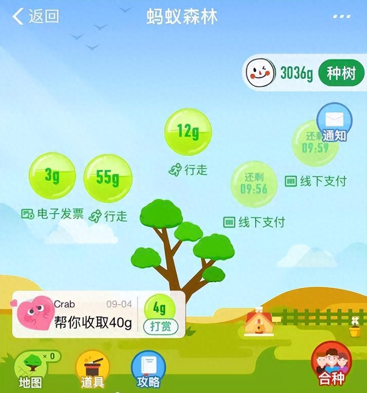 马云斥巨资在沙漠里种树，承诺每年1亿棵，9年过去了，树怎样了2016年，马云