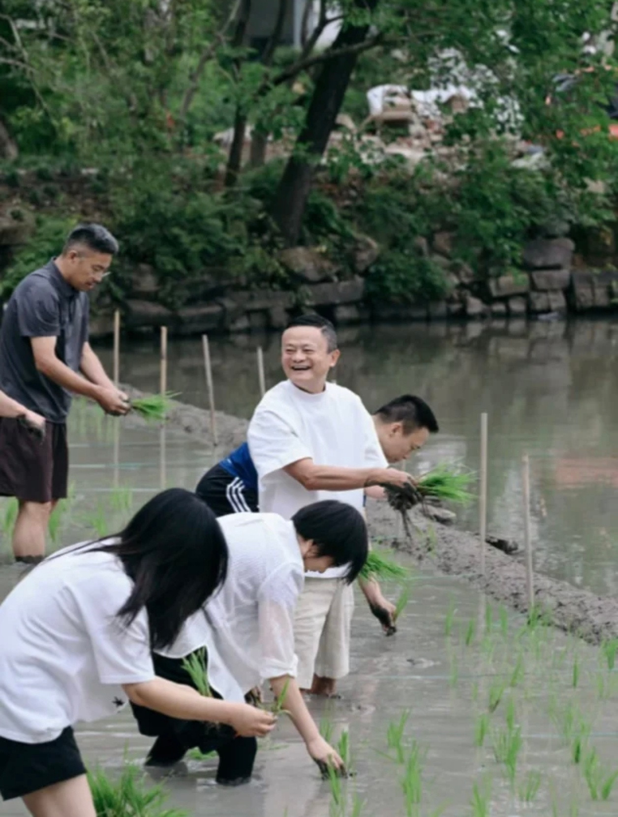 我愿称杭州这块水田是身价最高的水田！刚刷到阿里大佬们组团团建下田插秧，虽说种的不