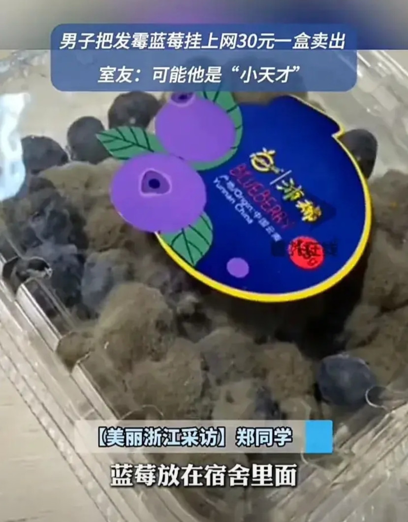 这名大学生简直是个人才！近日，湖北武汉一名大学生买了一盒蓝莓，放在宿舍一段时间忘